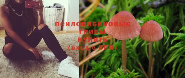 синтетический гашиш Алексеевка