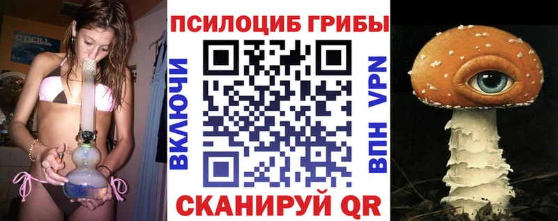 Псилоцибиновые грибы Psilocybe  OMG маркетплейс  Чусовой 